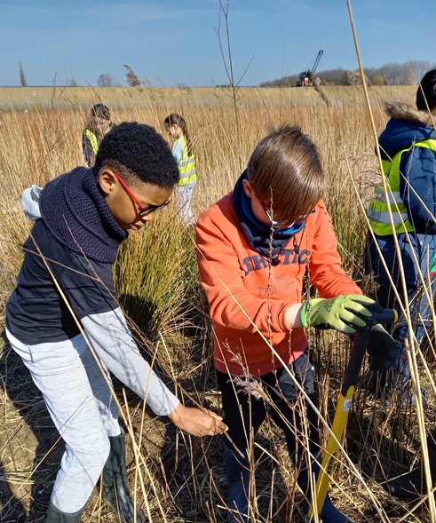 Aanplanting 30.000 bomen RNOP