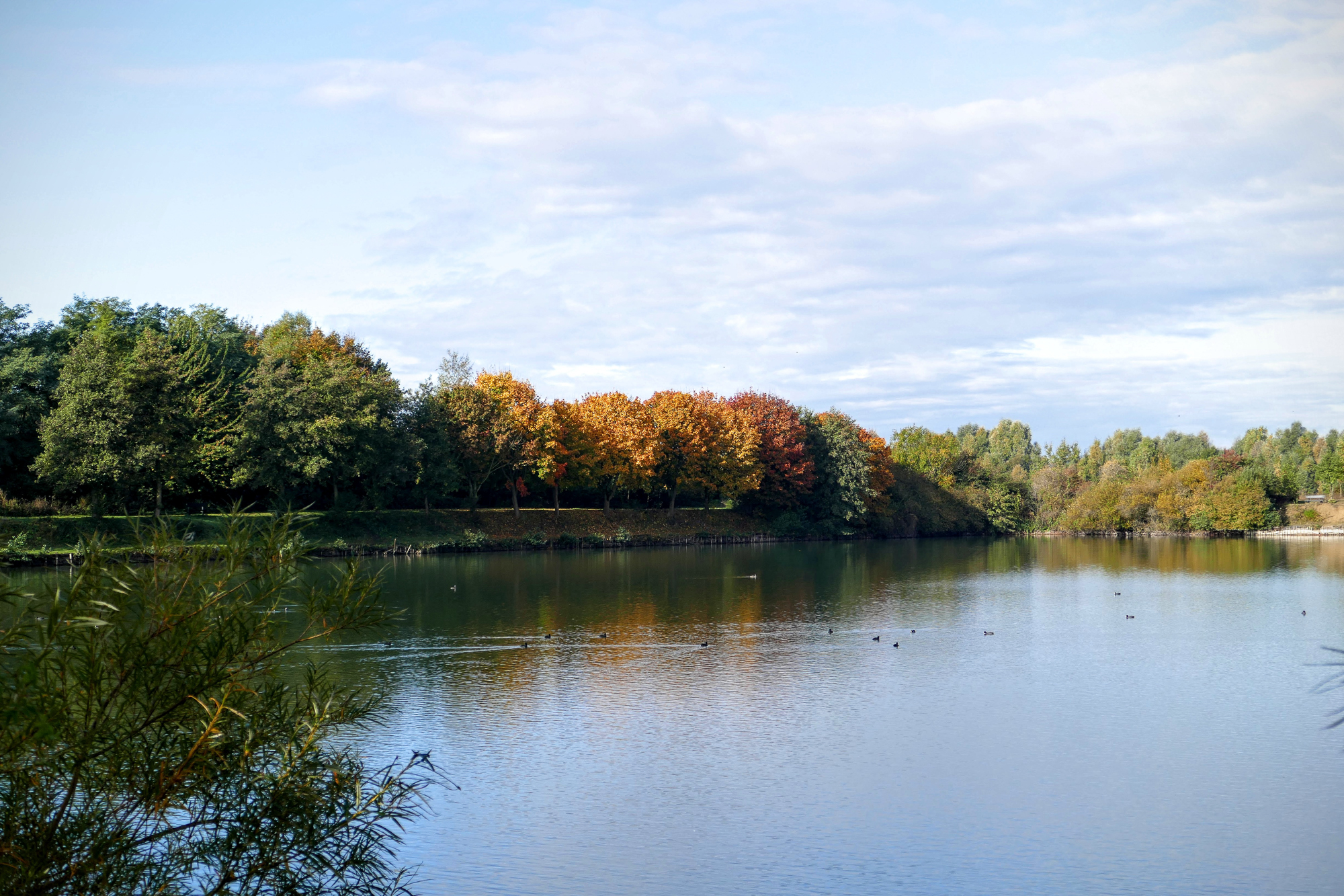 Ploegsteert durable