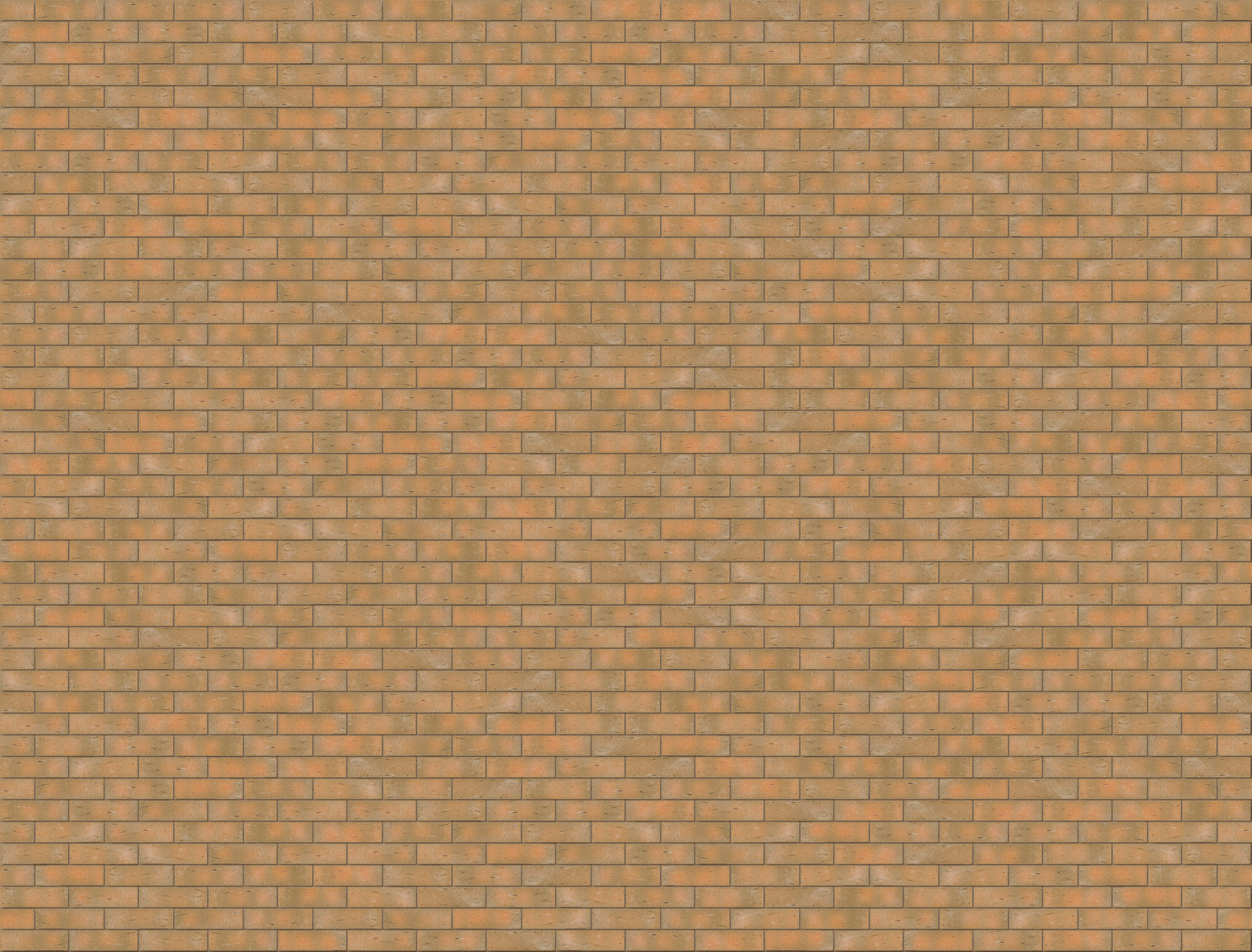 Audomaroise